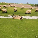 D'hotes De L'ile 3* Le Neufbourg