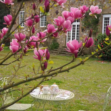 D'hotes De L'ile 3* Le Neufbourg