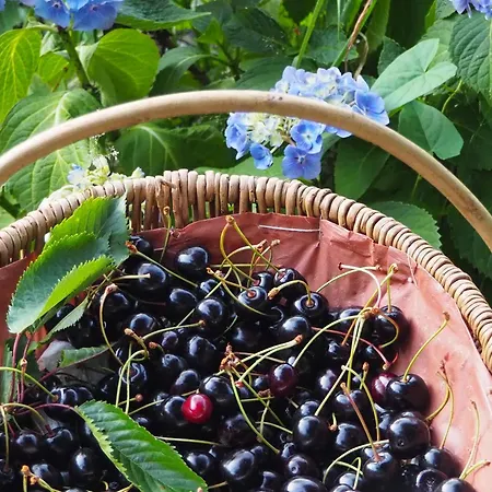 فندق مبيت وإفطار D'hotes De L'ile 3*