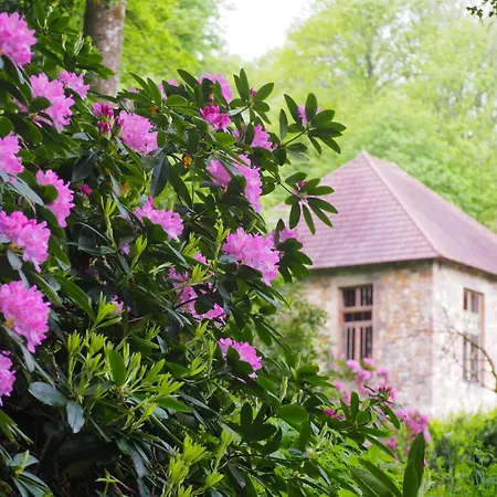 فندق مبيت وإفطار D'hotes De L'ile Le Neufbourg