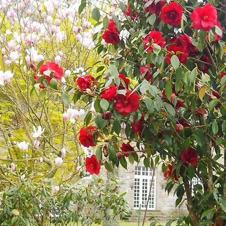 فندق مبيت وإفطار D'hotes De L'ile Le Neufbourg