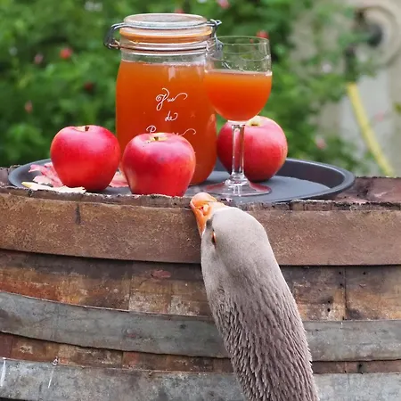 D'hotes De L'ile فندق مبيت وإفطار