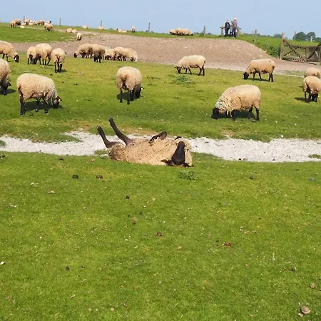 D'hotes De L'ile 3* Le Neufbourg