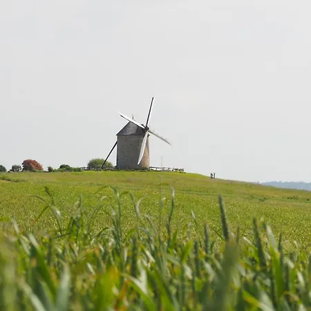 D'hotes De L'ile *