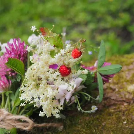 فندق مبيت وإفطار D'hotes De L'ile