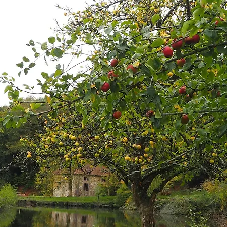 فندق مبيت وإفطار D'hotes De L'ile 3*