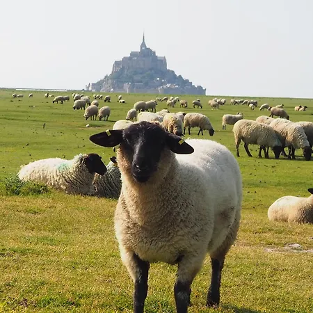 فندق مبيت وإفطار D'hotes De L'ile