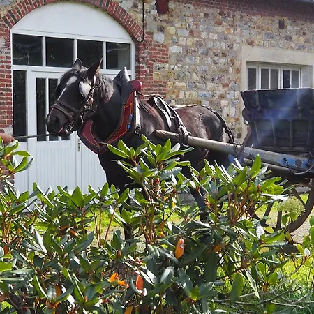 D'hotes De L'ile Le Neufbourg