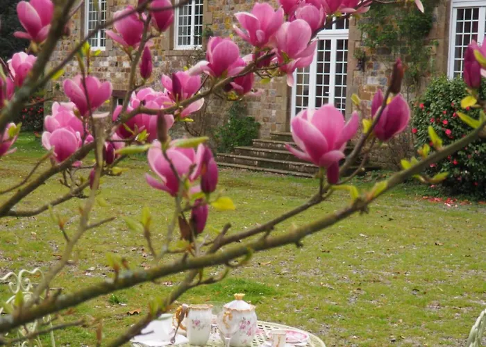 D'hotes De L'ile 3* Le Neufbourg