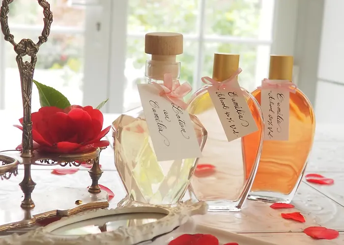 D'hotes De L'ile Bed and Breakfast