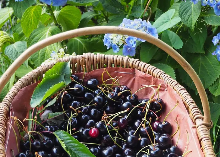 Bed and Breakfast D'hotes De L'ile 3*