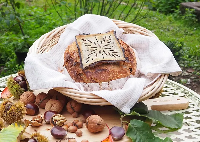 D'hotes De L'ile Bed and Breakfast Le Neufbourg