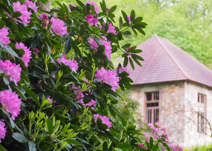 Bed and Breakfast D'hotes De L'ile Le Neufbourg