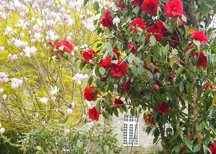 Bed and Breakfast D'hotes De L'ile Le Neufbourg