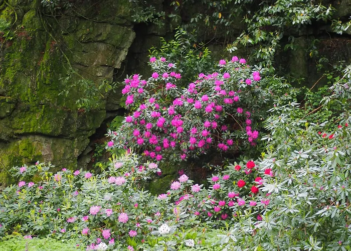 D'hotes De L'ile Bed and Breakfast 3*