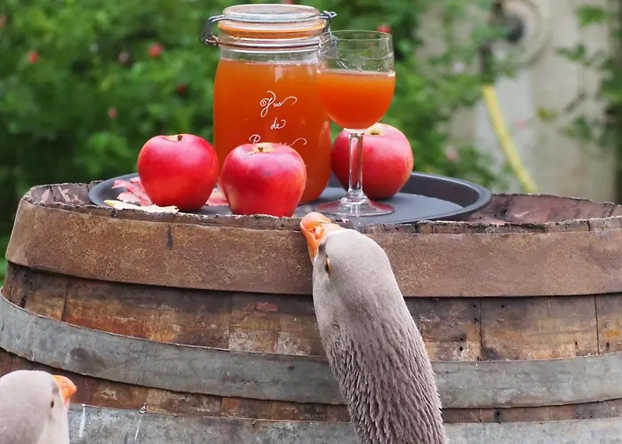 D'hotes De L'ile Bed and Breakfast