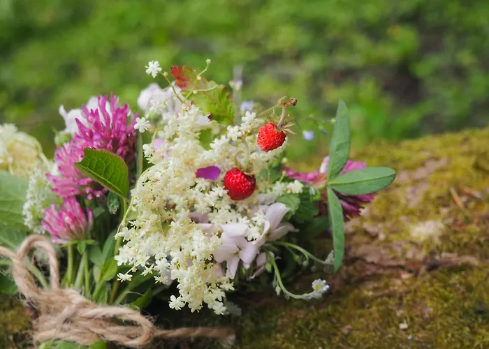 Bed and Breakfast D'hotes De L'ile