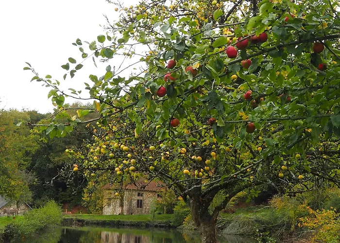 Bed and Breakfast D'hotes De L'ile 3*