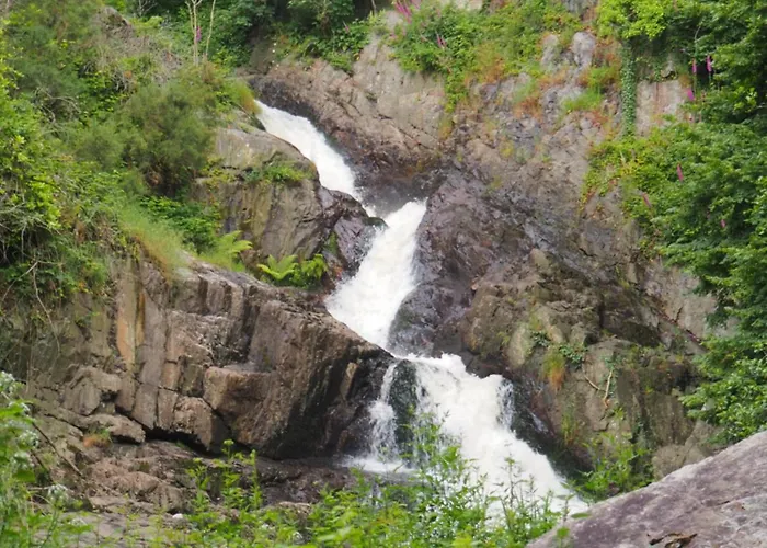 Bed and Breakfast D'hotes De L'ile Le Neufbourg