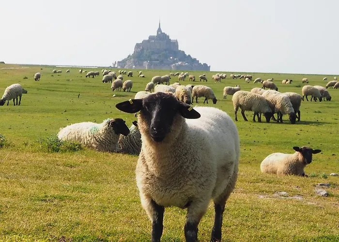 Bed and Breakfast D'hotes De L'ile