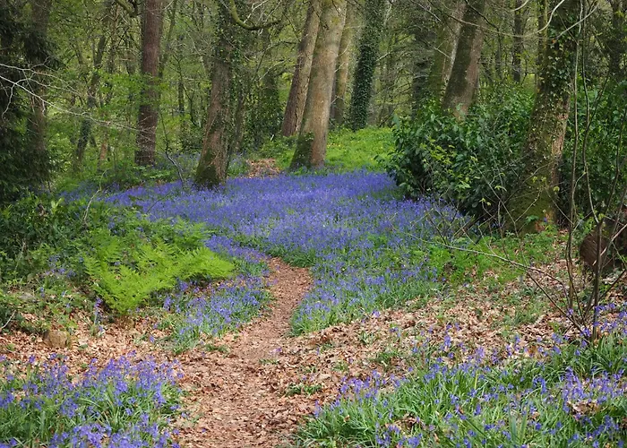 Bed and Breakfast D'hotes De L'ile Le Neufbourg