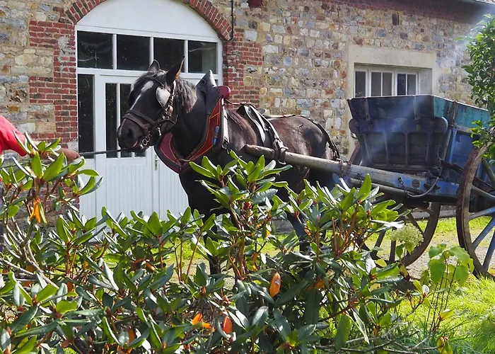 D'hotes De L'ile Le Neufbourg